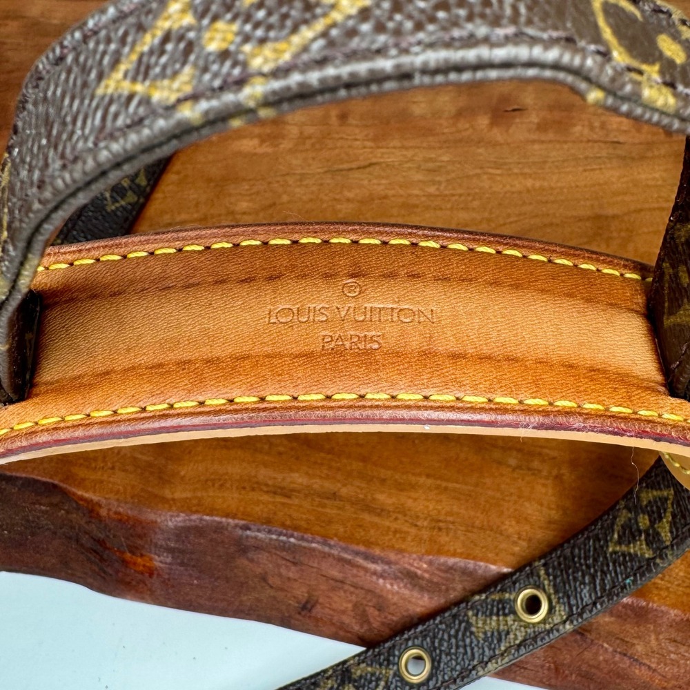 Louis Vuitton LV Monogram Danube 15 Crossbody Camera Bag Brown Tan SL0044 - Picture 10 of 16